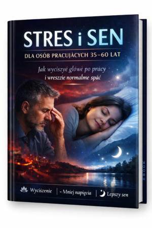 Stres i Sen e-book